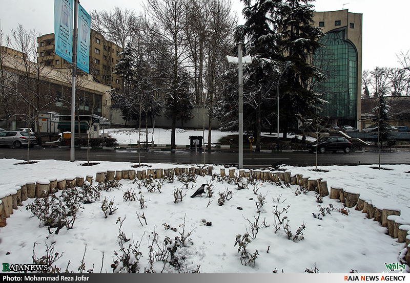 تصاویر:: بارش برف در تهران